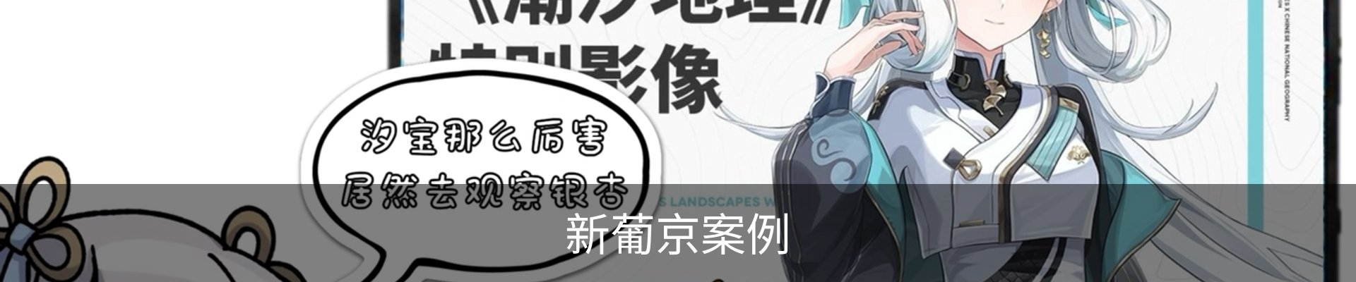 新葡京案例